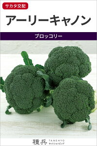 ubR[  wA[[Lmx TJ^̃^l