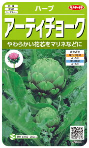 n[u  wA[eB`[Nx TJ^̃^l