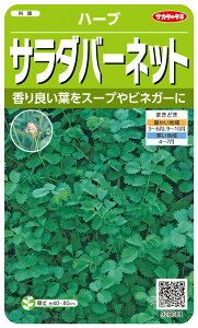 n[u  wT_o[lbgx TJ^̃^l