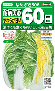 cnNTC  w߂Ԃ506x TJ^̃^l