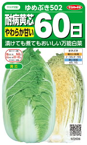 cnNTC  w߂Ԃ502x TJ^̃^l