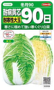 cnNTC  w~90x TJ^̃^l