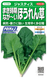 zE\E  wWXeBXx TJ^̃^l