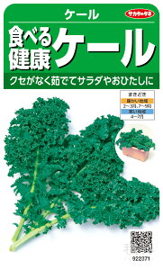 P[  wHׂ錒NP[x TJ^̃^l