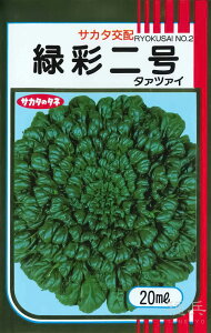 ^@c@C  w΍ʓ񍆁x TJ^̃^l