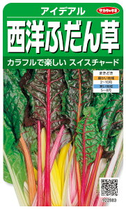 XCX`[h  wACfAx TJ^̃^l