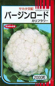 Jt[  wo[W[hx TJ^̃^l