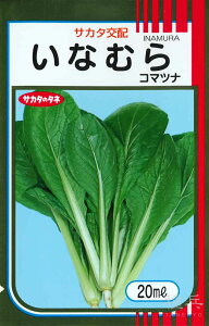 R}ci  wȂނx TJ^̃^l