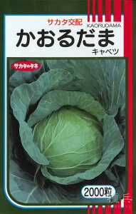 t`Ăǂ蒆Lxc  w邾܁x TJ^̃^l