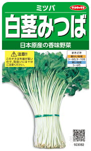 ~co  ws݂΁x TJ^̃^l