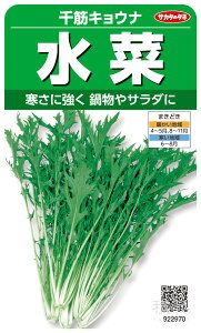 ~Yi  w؃LEix TJ^̃^l