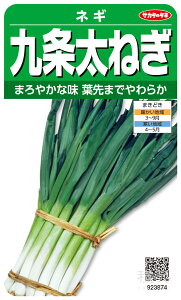 ネギ 種 『九条太ねぎ』 サカタのタネ