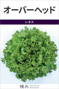 [t^X  wI[o[wbhx TJ^̃^l