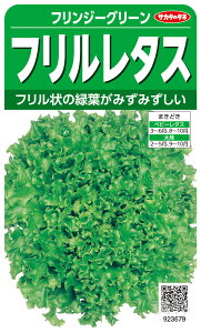 [t^X  wtW[O[x TJ^̃^l