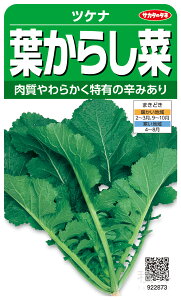 cPi  wt炵؁x TJ^̃^l