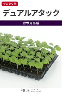 台木メロン 種 『デュアルアタック』 サカタのタネ