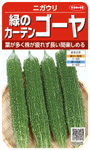 S[  w΂̃J[eS[x TJ^̃^l