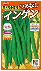 ȂCQ  wZ[ix TJ^̃^l