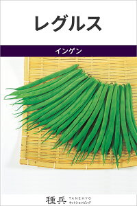 ȂCQ  wOXx TJ^̃^l