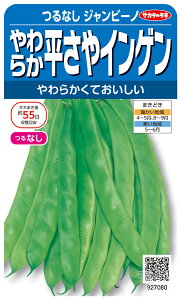 ȂCQ  wWr[mi閳jx TJ^̃^l