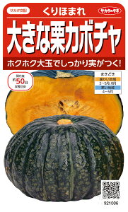 ~jJ{`  wق܂x TJ^̃^l