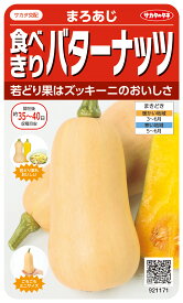 特殊カボチャ 種 『まろあじ』 サカタのタネ