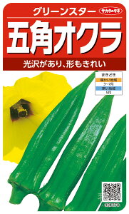 オクラ 種 『グリーンスター』 サカタのタネ