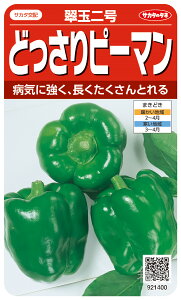 s[}  wʓ񍆁x TJ^̃^l