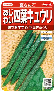 ltLE  wĂ񂲁x TJ^̃^l