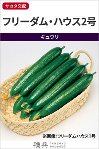 LE  wt[_EnEX2x TJ^̃^l