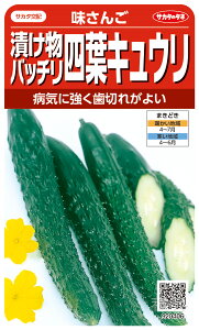 ltLE  w񂲁x TJ^̃^l