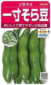 ソラマメ 種 『一寸そら豆』 サカタのタネ