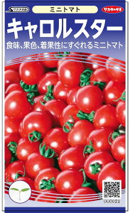 ~jg}g  wLX^[x TJ^̃^l