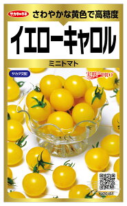 ~jg}g  wCG[Lx TJ^̃^l