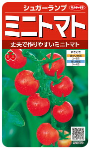 ~jg}g  wVK[vx TJ^̃^l