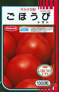 ʃg}g  wقсx TJ^̃^l