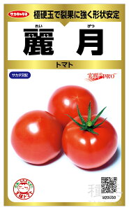 ʃg}g  w팎x TJ^̃^l