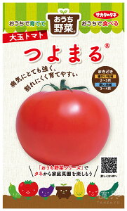 ʃg}g  w܂x TJ^̃^l