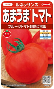 ʃg}g  wlbTXx TJ^̃^l