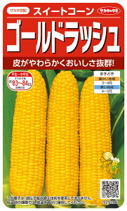 XC[gR[  wS[hbVx TJ^̃^l