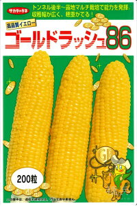 スイートコーン 種 『ゴールドラッシュ86』 サカタのタネ