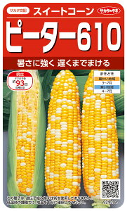 XC[gR[  ws[^[610x TJ^̃^l