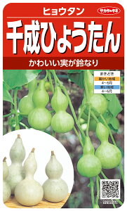 ~jqE^  w琬Ђ傤x TJ^̃^l