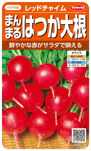 ncJ_CR  wbh`Cx TJ^̃^l