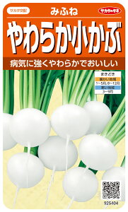 小カブ 種 『みふね』 サカタのタネ