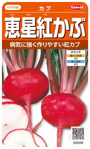 中カブ 種 『恵星紅』 サカタのタネ