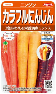 FjW  wJtɂ񂶂x TJ^̃^l