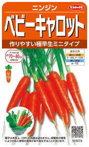 ~jjW  w xr[Lbgx TJ^̃^l