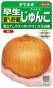 ^}lM  wACh񂱁x TJ^̃^l