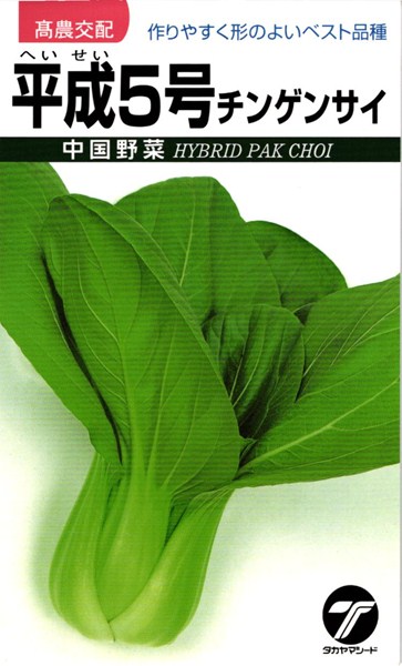 最先端 チンゲンサイ 種 『平成５号』 タカヤマシード/20ml 野菜の種子